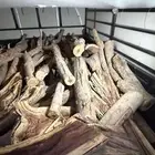 حطب سمر