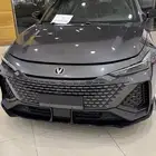 شانجان يوني في سبورت