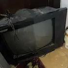تلفزيون