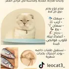وجبات قطط