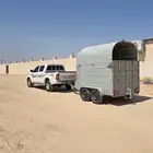 عربه نقل خيل
