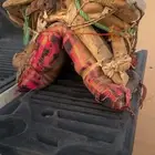 شداد ركبي رحول