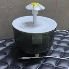 مستلزمات قطط