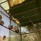 حمام كريمي