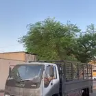 دينا توصيل المدينه المنوره .