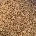 -  Poultry Feeds أعلاف الدواجن