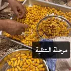 رياض الخبراء