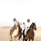 استعراض خيل وهجن لليوم الوطني والتاسيس التراث