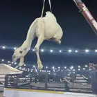 دينا ونش ابل دنه هدروليك