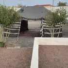 بيت شعر للبيع