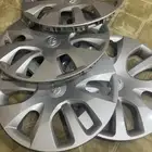 طيس هايكلس 17