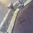 كنب