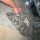 مصيدة قفص حيوانات