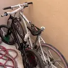 سياكل رياضي و كوبرا