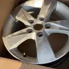 جنوط النترا