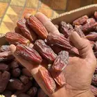 تمر مبروم للبيع