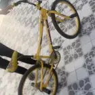 السيكل نوعه بانويل الكفر