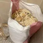 خيز يابس