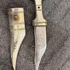 شبرية أردنية هاشمية