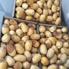 اخلاص الخرج