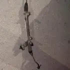 دودة كادينزا 2018