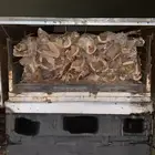 دنا للبيع 2005