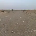فقاسة للبيع