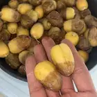 تمور الحوطة رطب