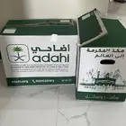لحم مشروع أضاحي الرسمية - جديدة ومقفله