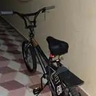 كوبرا للبيع 20