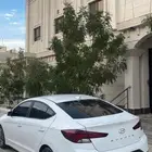 النترا 2019 للبيع ورد كوريا