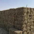 ذره  جزانيه
