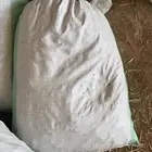 تمر حشف 30 - 25 ك