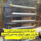 بطاريات حضانات سمان فري