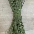 مرخ طازج و نظيف