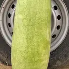 حبحب عثري احمر وحلو