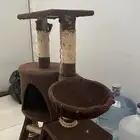 بيت قطط