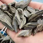 عود تايقر فيتنامي