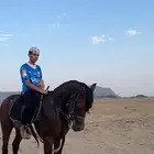 حصان عربي اصيل ابوه فرهود المسحال محقق كسبات جمال