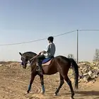 عسف خيل وتعديل اطباع