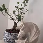 اثاث