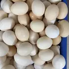 بيض بلدي