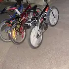 رامبو عنابي اصلي