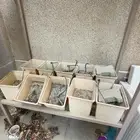 زراعة مائية