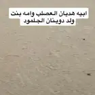 بعير سلاله و شكل كفو