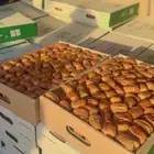 تمر سكري مفتل خراف جديد