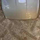 كبوت سوناتا لون الذهبي