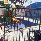 شاليه الصالح للاييجار يوجد العاب مائيه