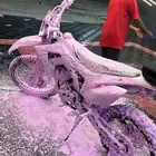 صحراوي الوسام الناري استخدام 20 يوم