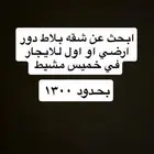 بحث عن شقه للايجار